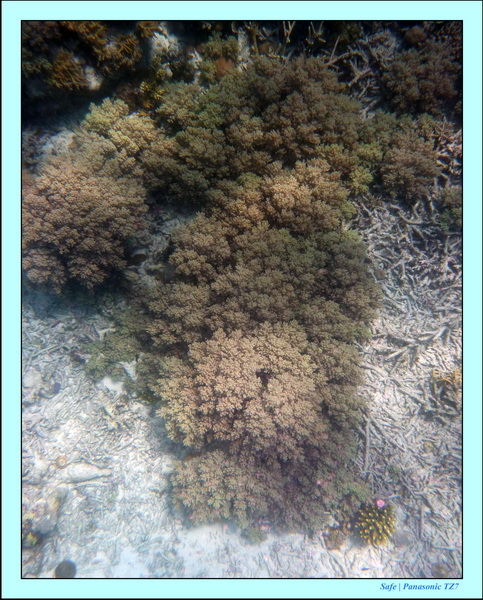 2009    07    Manatabuan 18